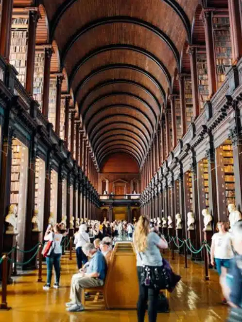 pexels-kelly-2881370 (1)