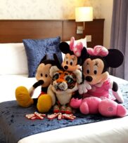 _room_gate_kids_room_1_